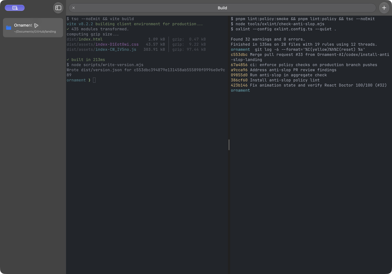 Toastty Nightly showing the Ornament project, a Build tab, and two terminal panes running a build and code checks.